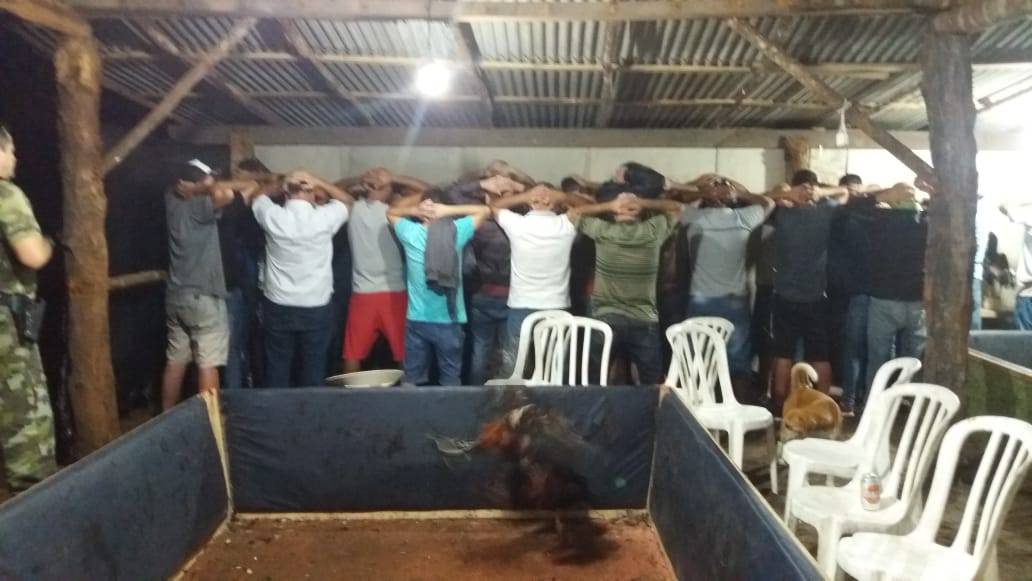 Polícia fecha local em que ocorriam rinhas de galo em Guaratuba. Ex-vereador de Garuva estava entre os presos