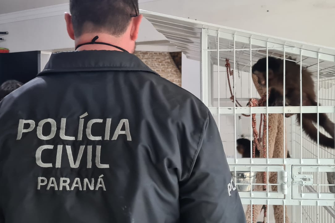 Em Operação contra o tráfico de animais, Polícia Civil do PR cumpre mandado de busca em Garuva.