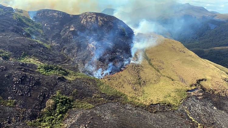 Incêndio florestal atingiu quase cinco quilômetros quadrados nos Campos do Quiriri.