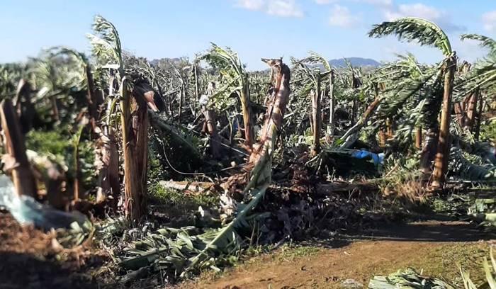 Perdas na agricultura ultrapassam 42 milhões de reais após passagem de ciclone extratropical em Garuva.